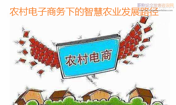 农村电子商务下的智慧农业发展路径