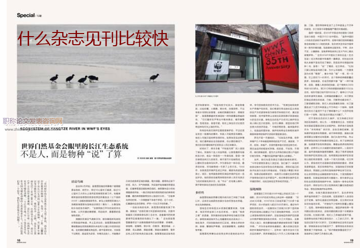 什么杂志见刊比较快