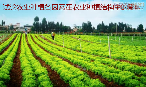 试论农业种植各因素在农业种植结构中的影响