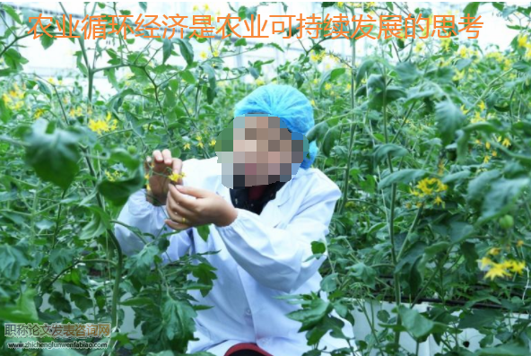农业循环经济是农业可持续发展的思考