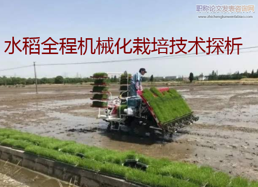 水稻全程机械化栽培技术探析