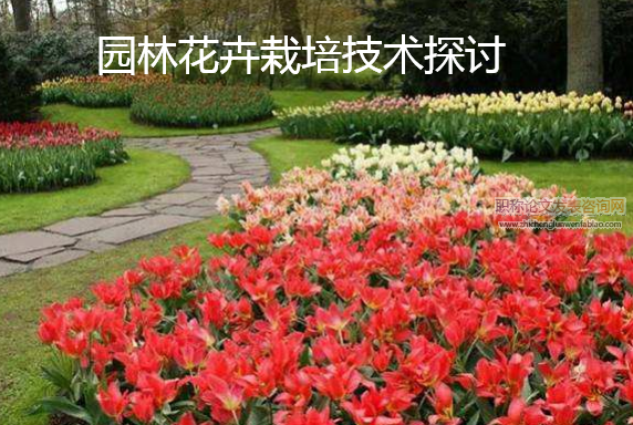 园林花卉栽培技术探讨