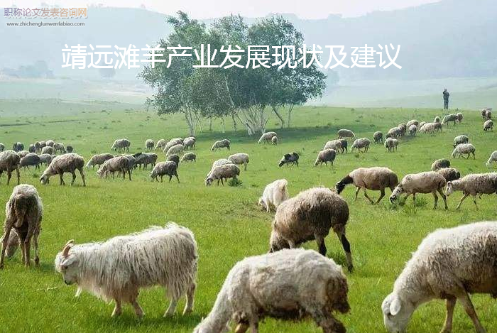 靖远滩羊产业发展现状及建议