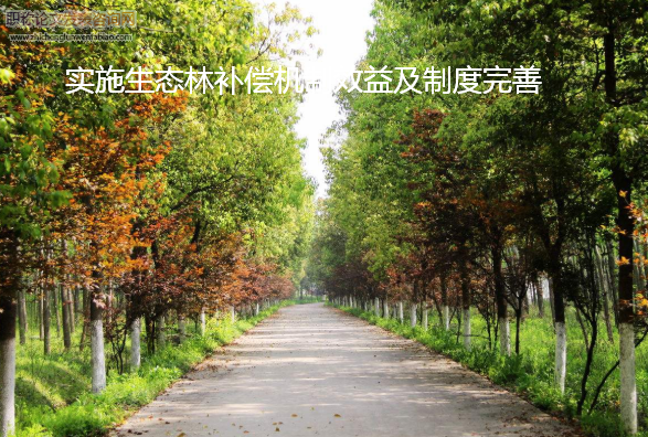 实施生态林补偿机制效益及制度完善