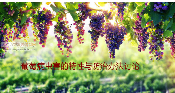 葡萄病虫害的特性与防治办法讨论
