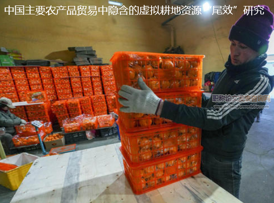 中国主要农产品贸易中隐含的虚拟耕地资源“尾效”研究