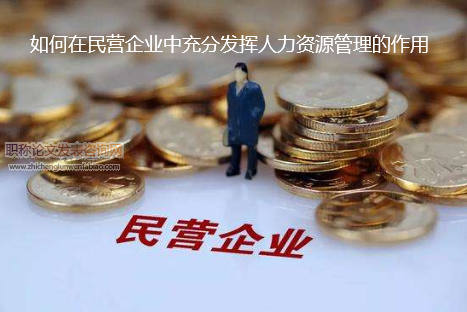 如何在民营企业中充分发挥人力资源管理的作用