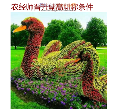 农经师晋升副高职称条件