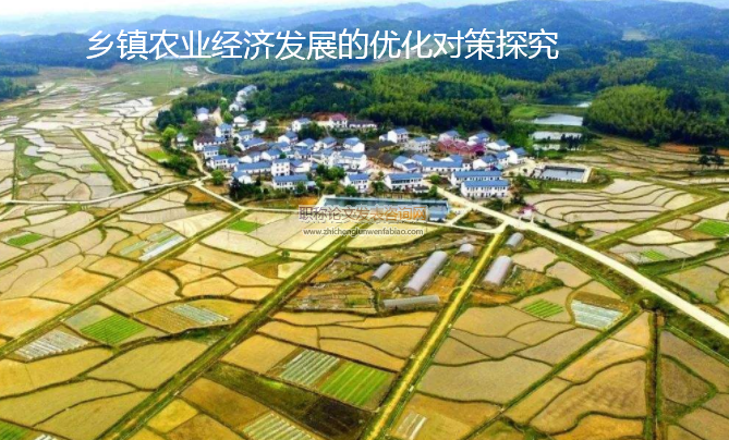 乡镇农业经济发展的优化对策探究