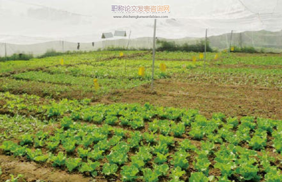 有机食品种植方面论文发表期刊
