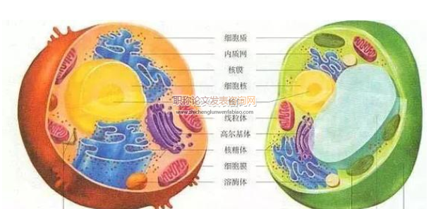 浅议实验教学法在高中生物教学中的运用