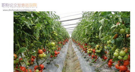 反季节种植技术在园林绿化施工中的应用