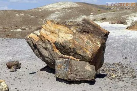 龙马溪组页岩微观结构、地震岩石物理特征与建模