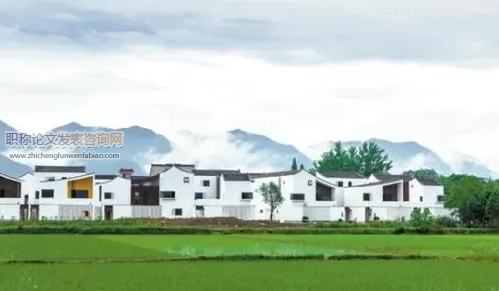 乡村振兴背景下农村人才队伍建设的思考