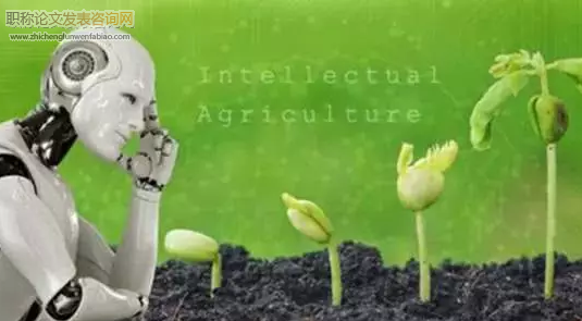 计算机视觉及模式识别技术在农业生产领域的应用