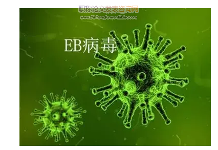 儿童EB病毒感染不同临床疾病类型免疫功能研究