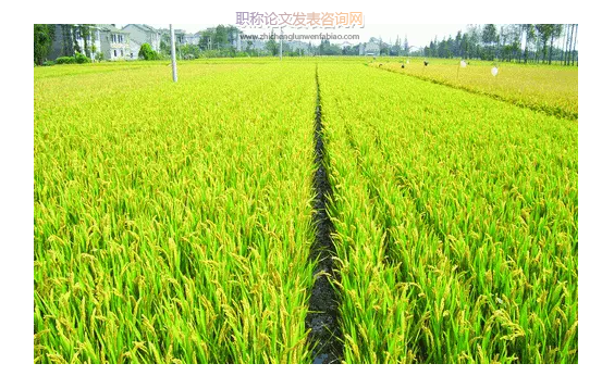 近50年基于农作物种植结构的新疆绿洲农田蒸散发时空变化分析