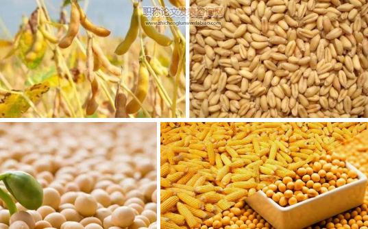 玉米价格波动与小麦、稻谷、大豆价格波动的相关性研究
