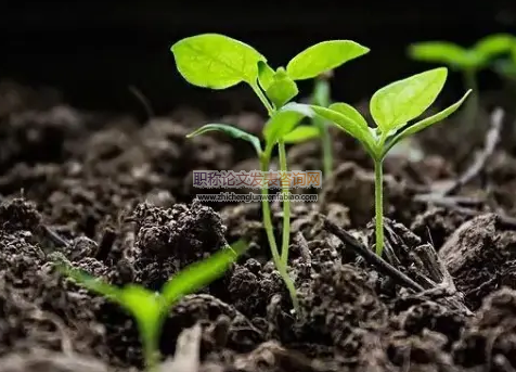 微集水种植对土壤水分蒸散和作物需水量的影响