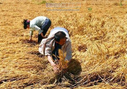 劳动禀赋变化、技术选择与粮食种植结构调整