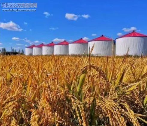 黑龙江省主要粮食作物种植面积与产量变化分析