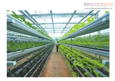 现代农业植物保护工作方法探究