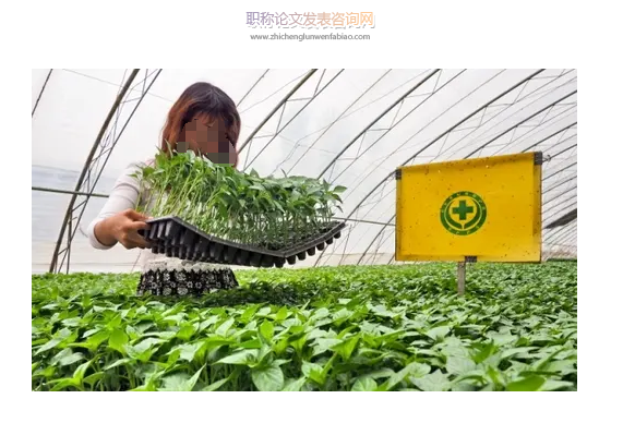农技土肥管理技术在绿色蔬菜种植中的实施研究
