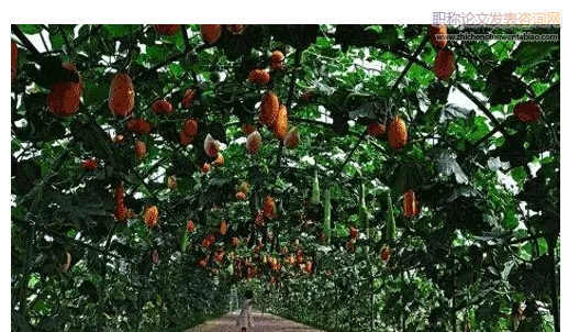 互联网+”生态农业新模式分析