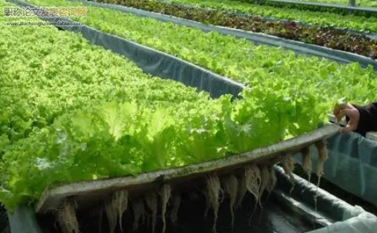 绿色农业种植技术的优势及推广对策关键要点