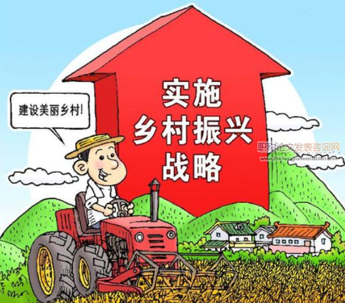 乡村振兴战略下实施乡村管理的策略研究