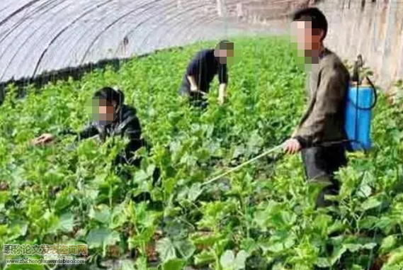 设施蔬菜种植户施药前选择行为的影响因素研究