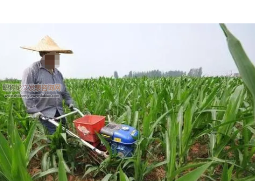 论科学种植技术和施肥技术