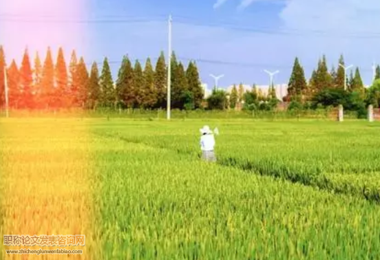 新农科”背景下高等农业教育教材的时代性