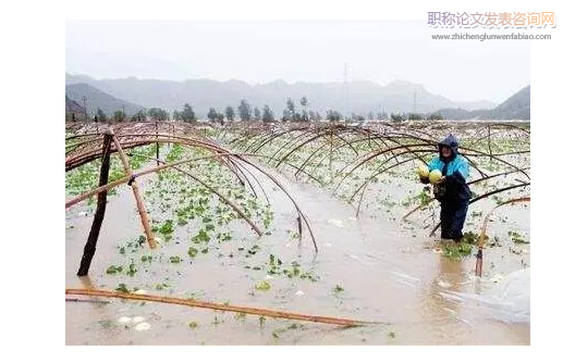 气象灾害对农业生产造成的影响及防御对策