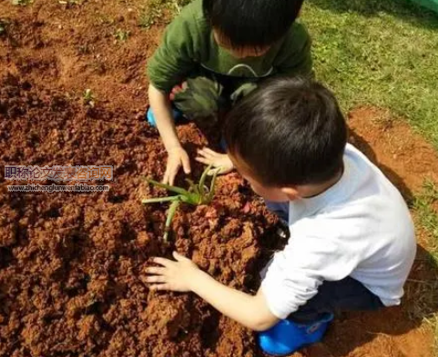 种植活动中幼儿品格启蒙教育刍议
