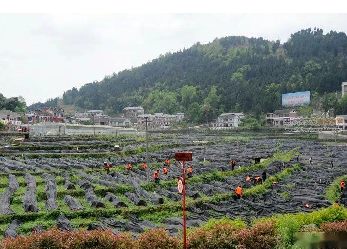 四川凉山优势特色农业产业发展分析