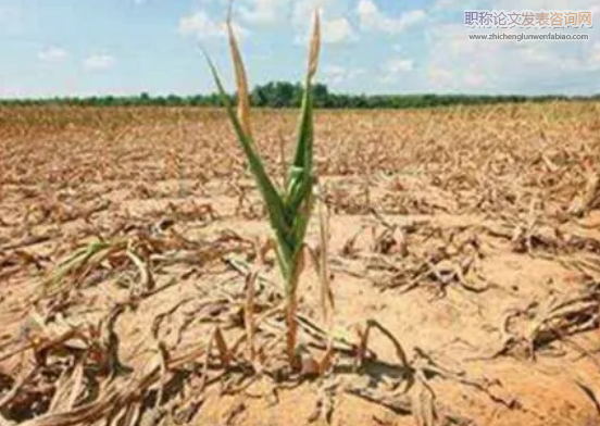 河北地区气候变化及其对农业的影响