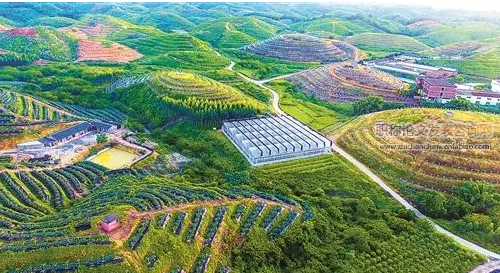 我国高等教育农科类应用型人才培养途径