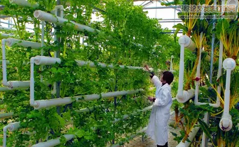 H省农业经济发展存在的问题及对策研究