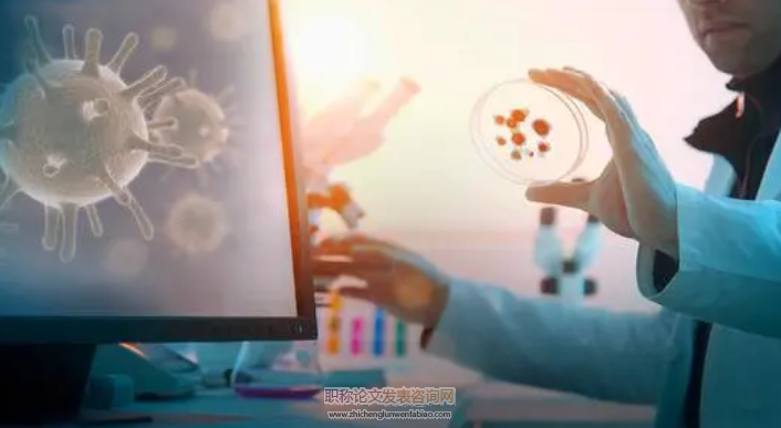 临床微生物学检验技术课程线上教学的探索与实践