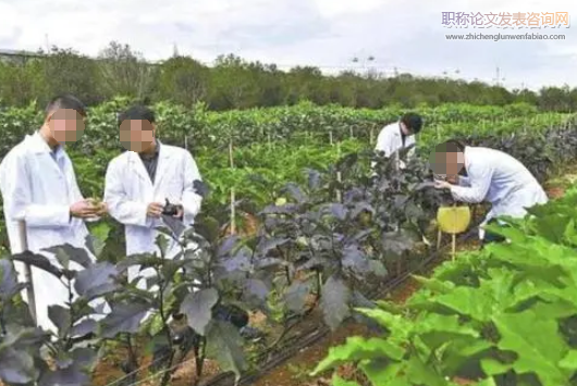 农业技术在脱贫攻坚中的思考