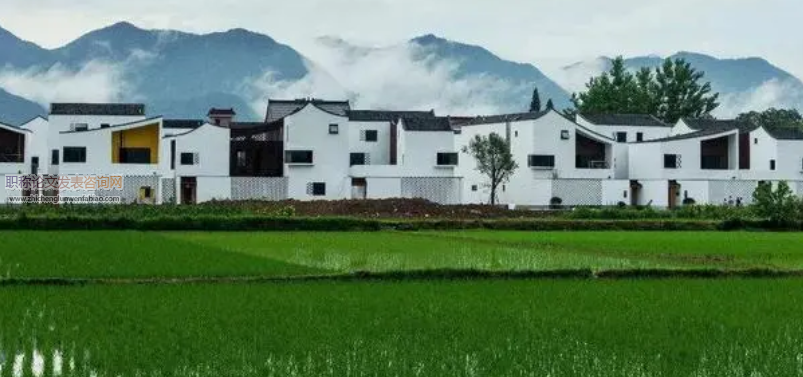 乡村振兴视角下新型农村集体经济发展问题探索